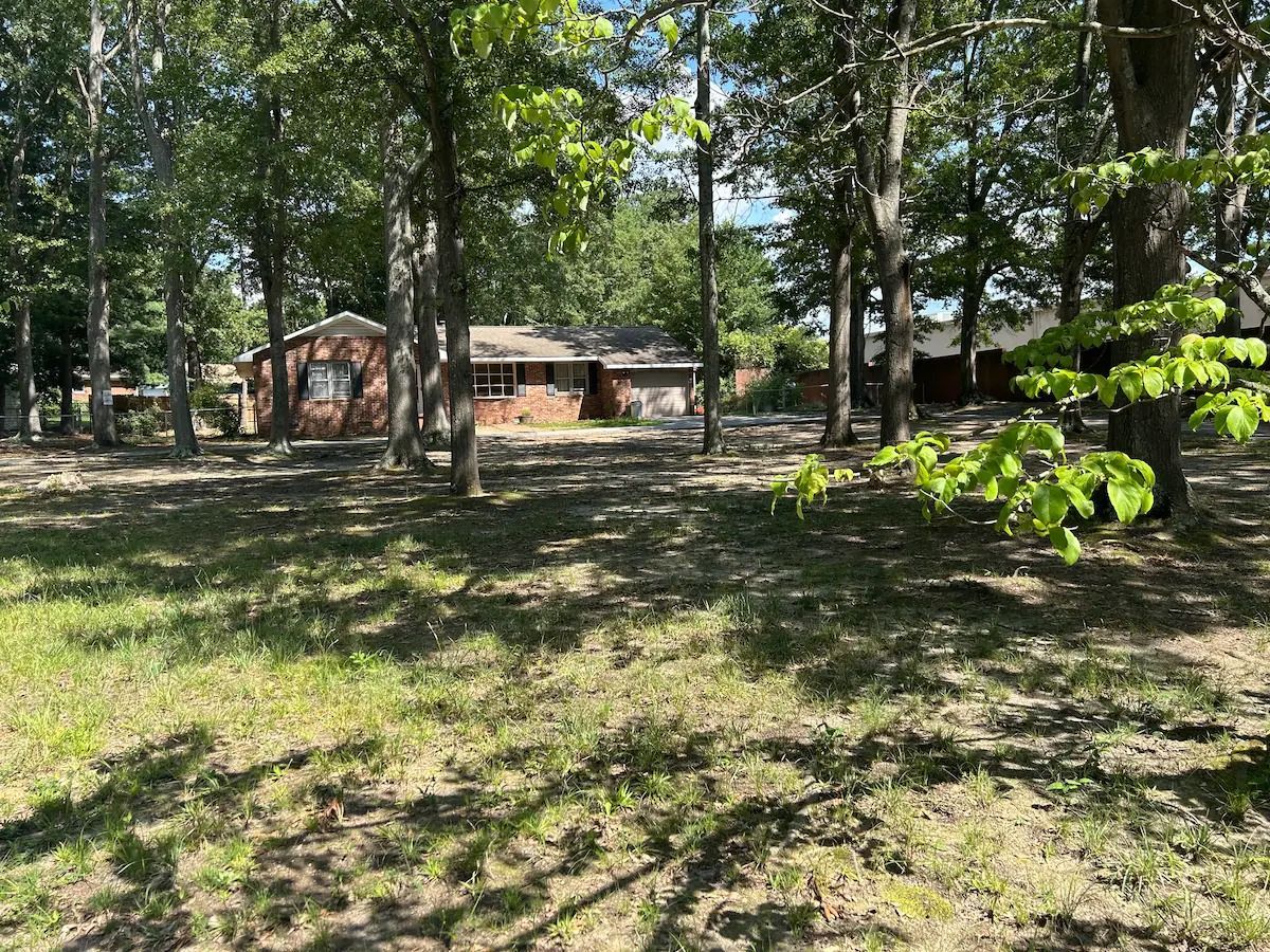 Wooded park with scattered trees, grass, and a small brick building in the background