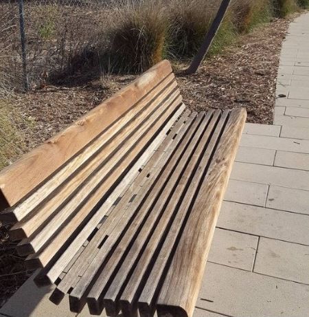 Wooden bench beside a paved walkway in a park, with dry grass and shrubs nearby.