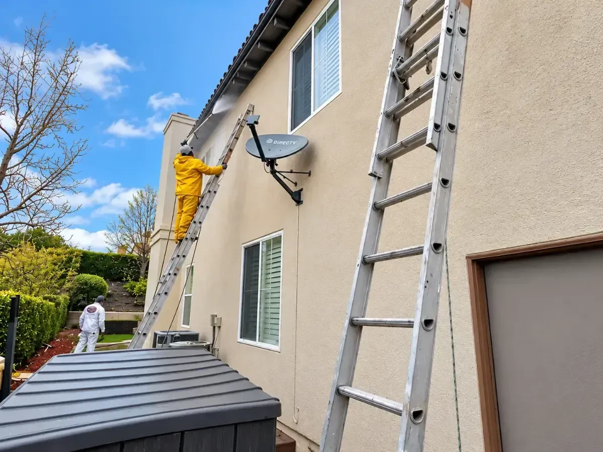 Workers on ladders repairing an exterior wall beside a house in bright daylight