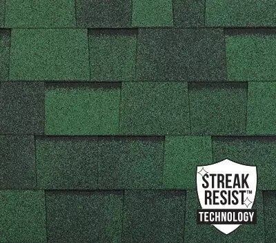 Rainforest shingle line