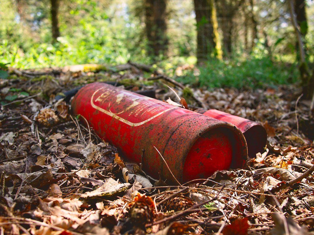 Müll im Wald