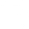 Certificate icon