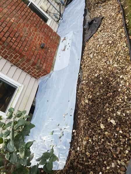plastic sheet