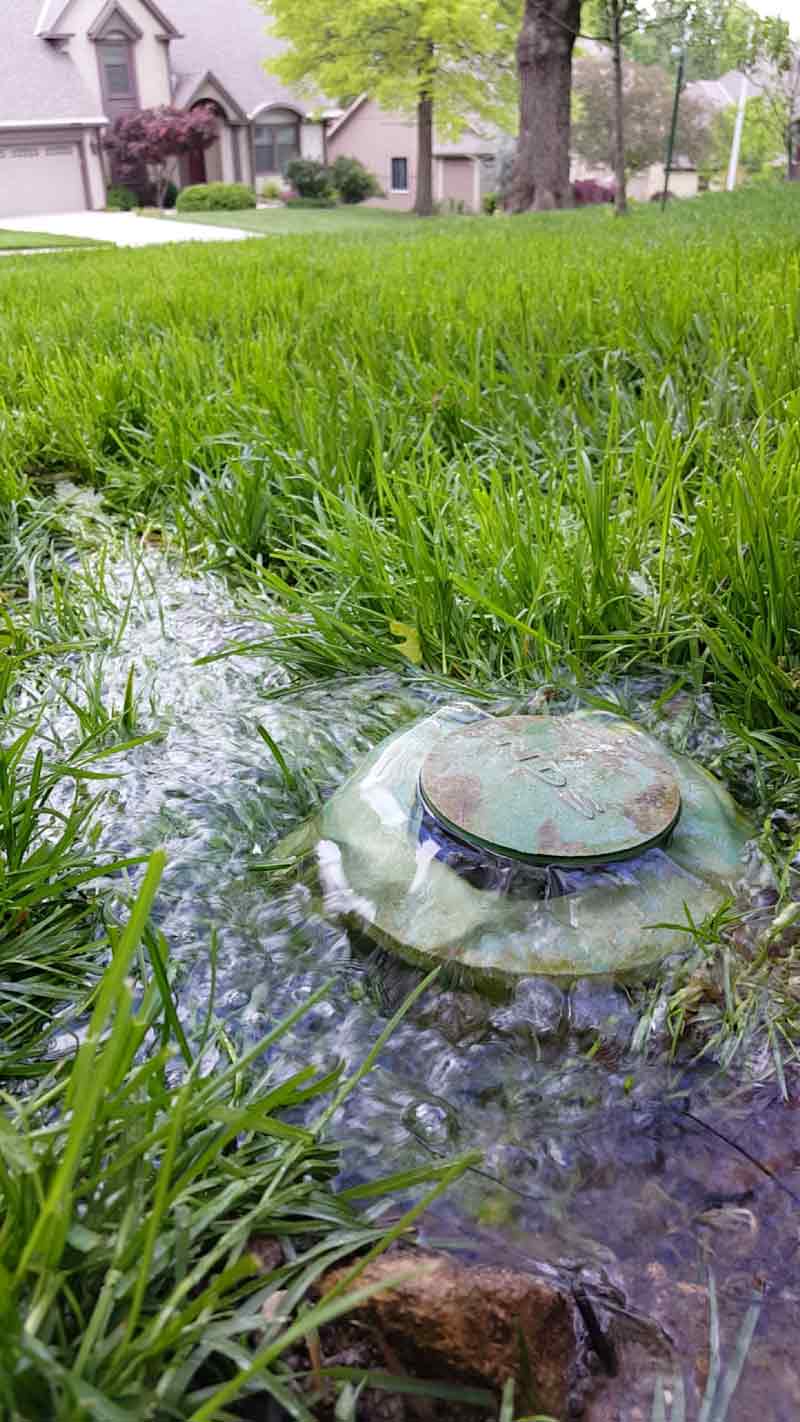 grass with water