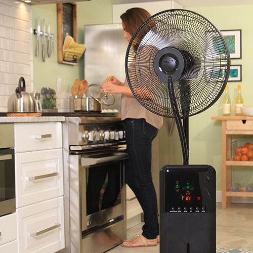 fan 1