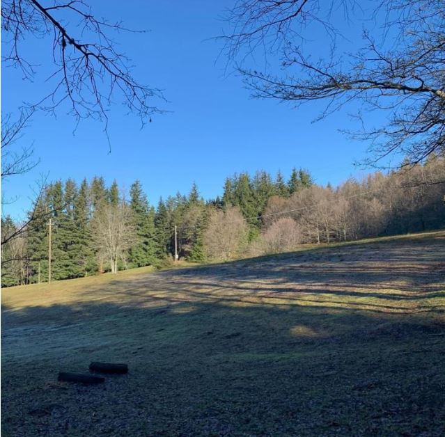 locale immerso nel verde