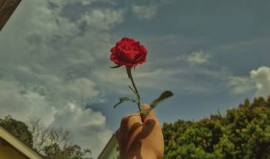 cremation services wernersville pa