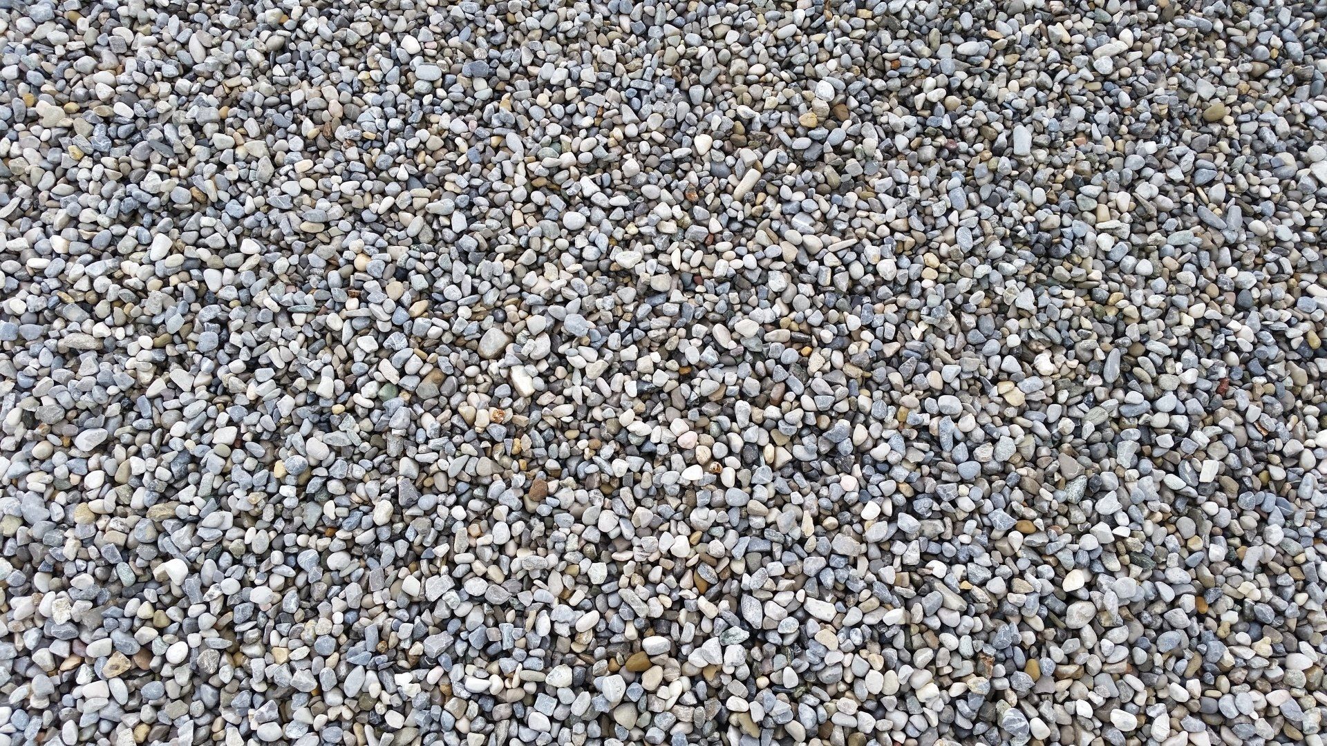 Rollkies