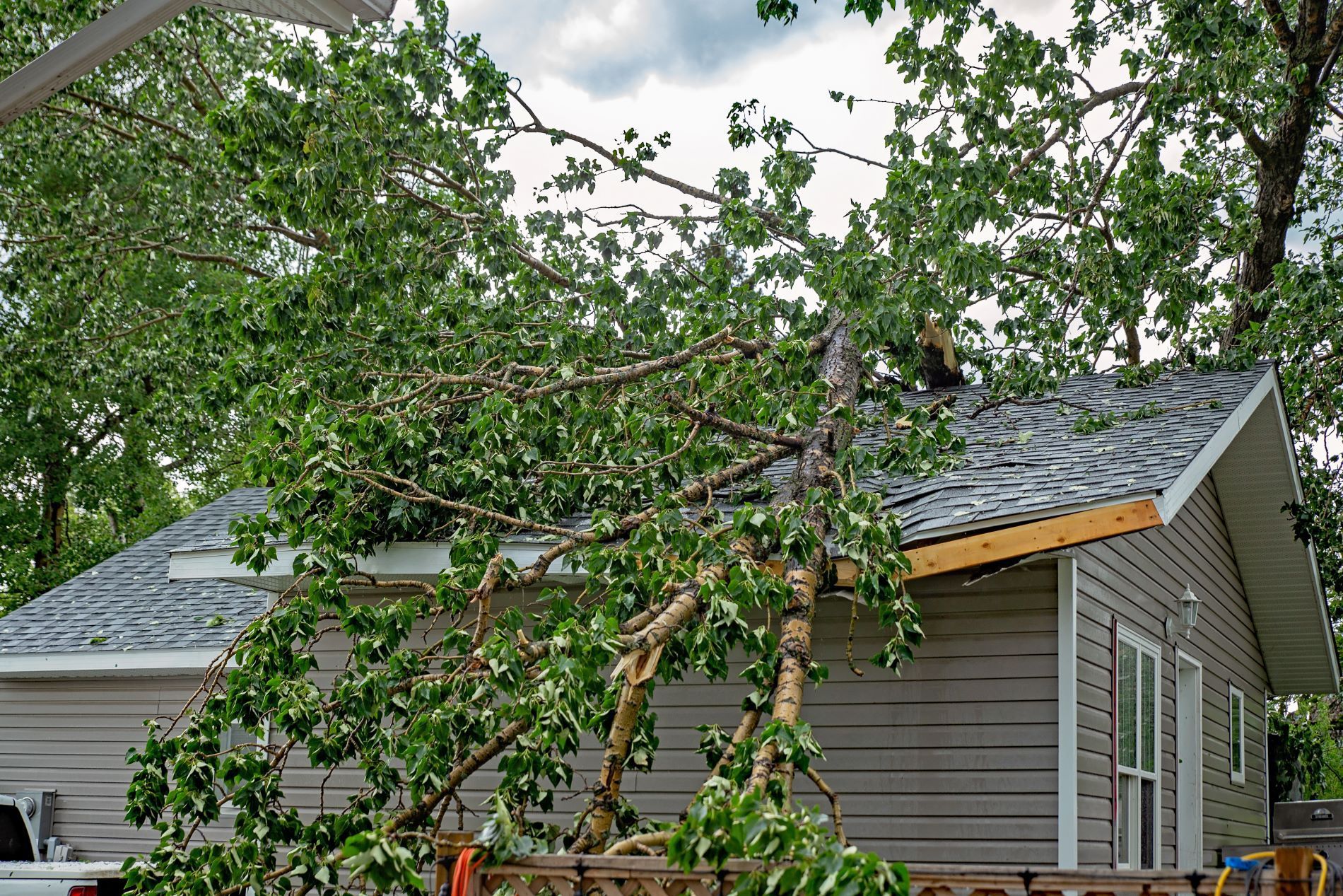 Roof Insurance 101