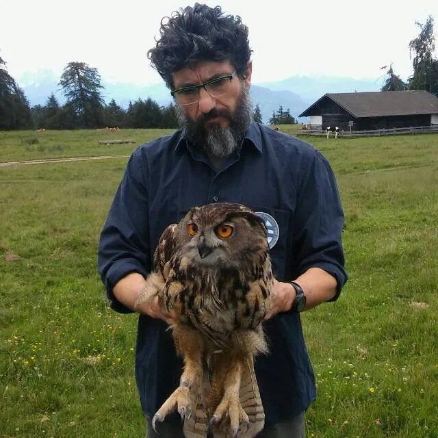 Veterinario con un gufo