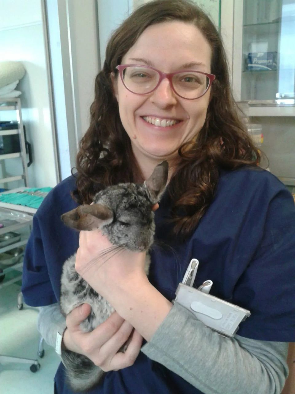 Veterinaria con un coniglio