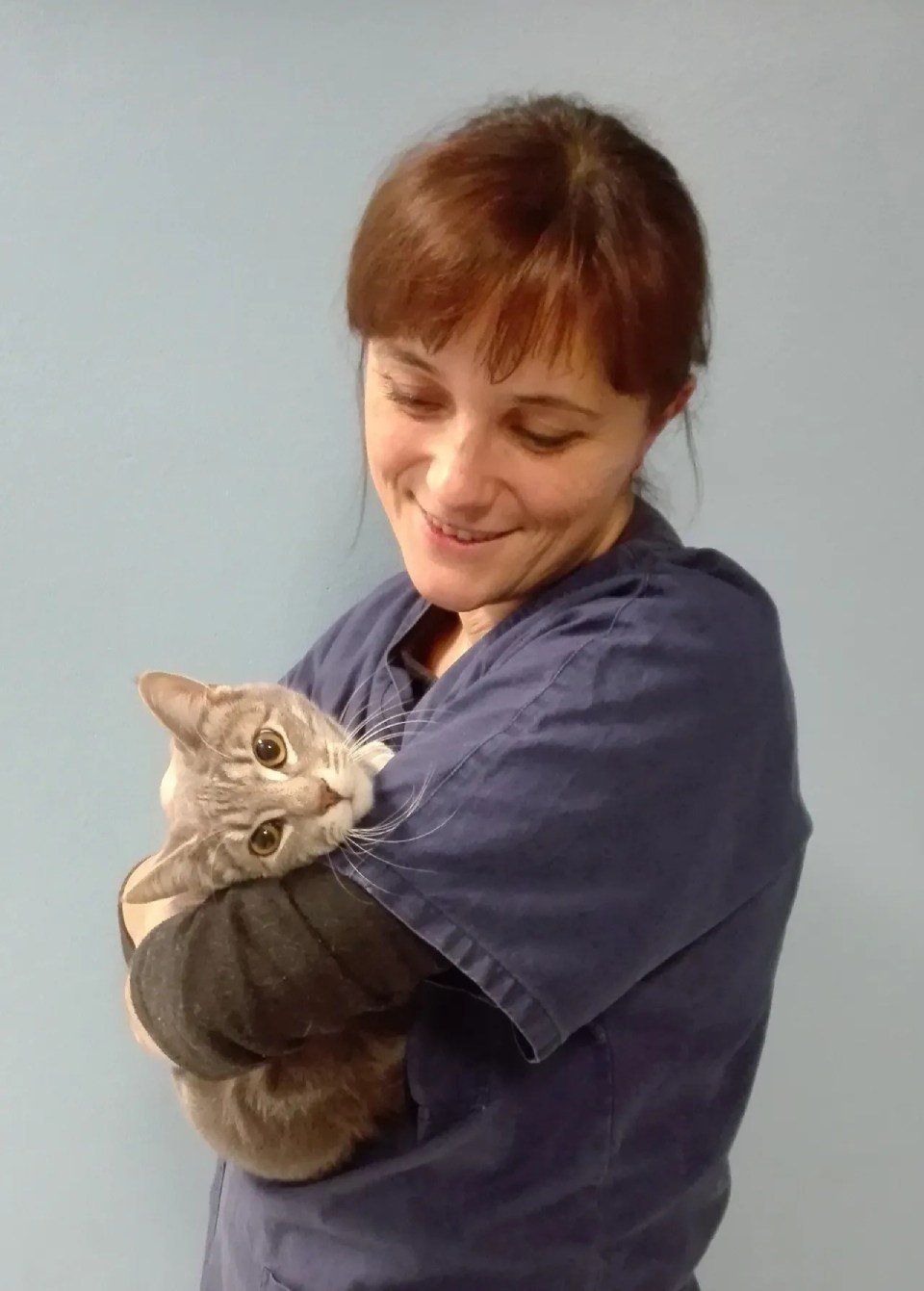 Veterinaria con un gatto
