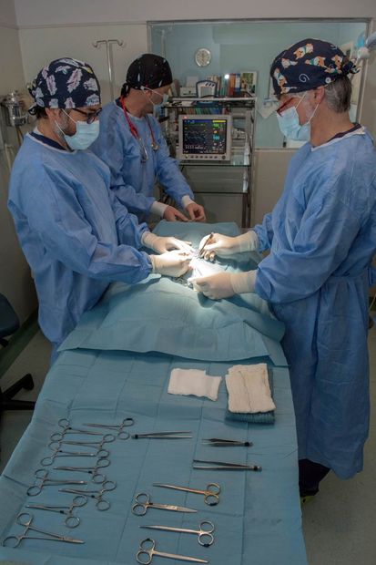 Equipe di chirurgia veterinaria