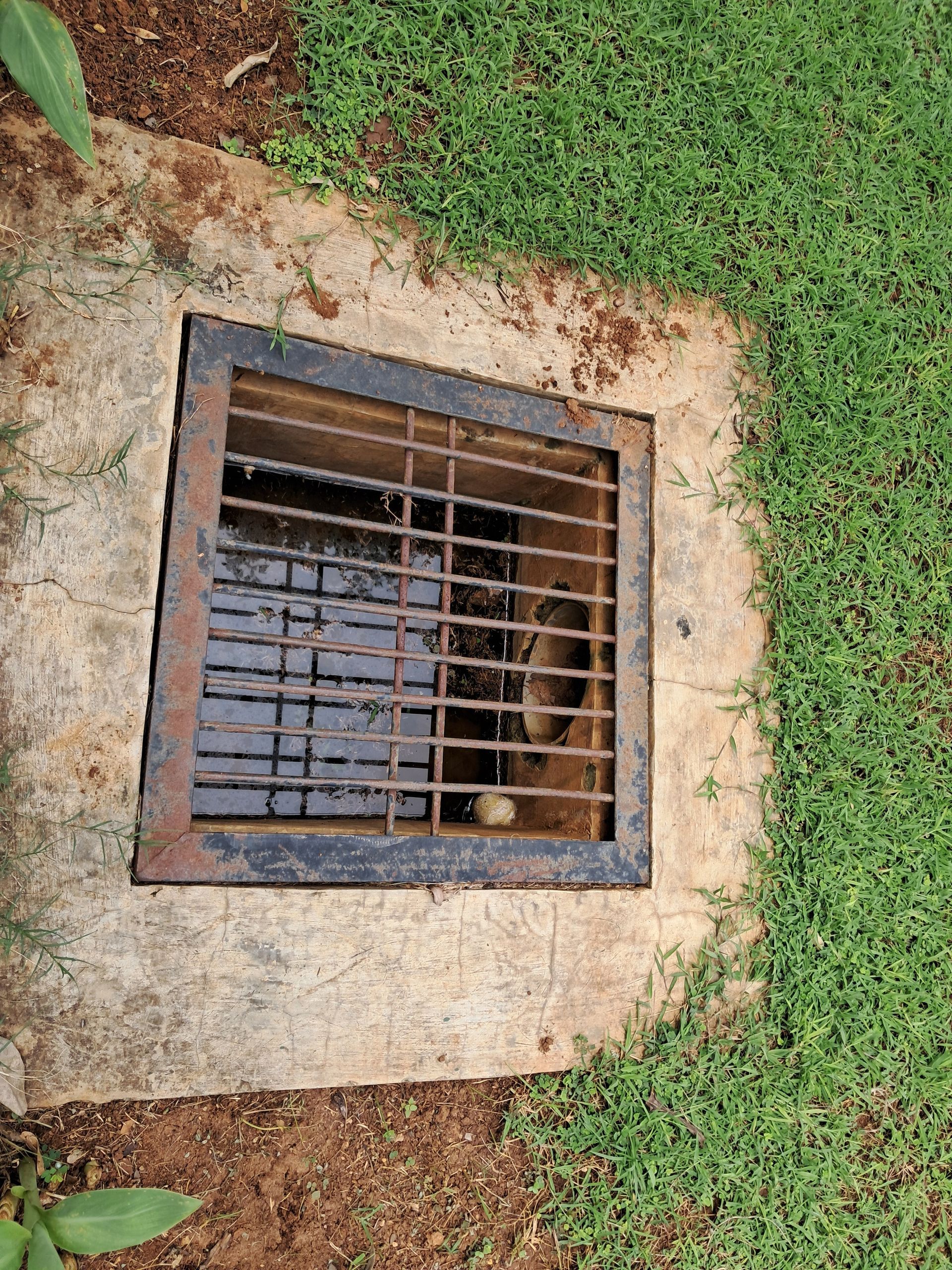 Rusty metal grate over a ground drainage opening surrounded by grass and dirt