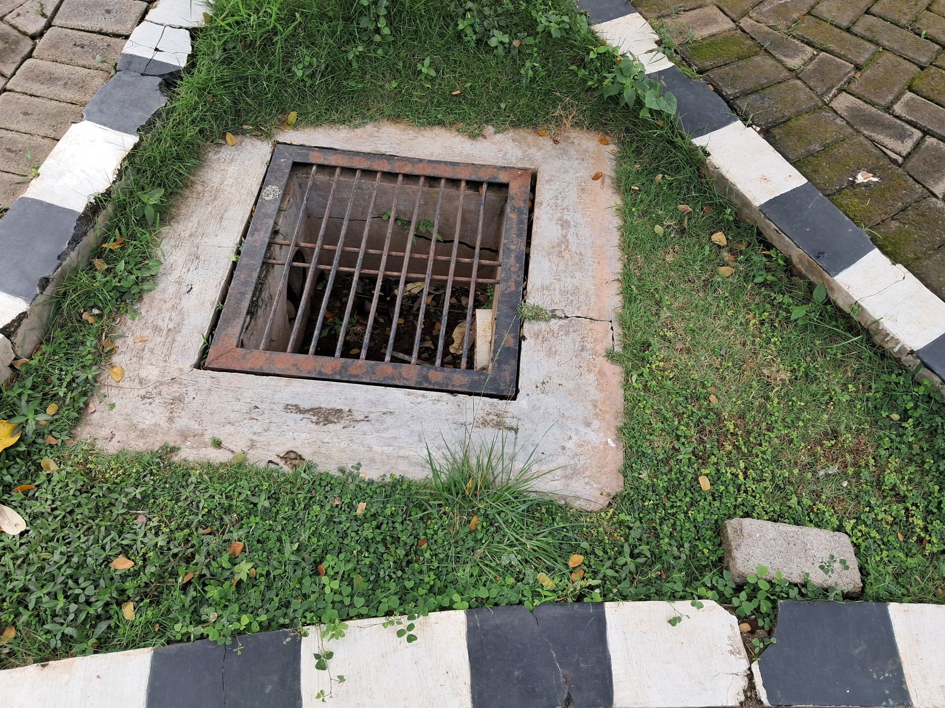 Square drain grate set in grass beside a paved curb with black-and-white striped stones.