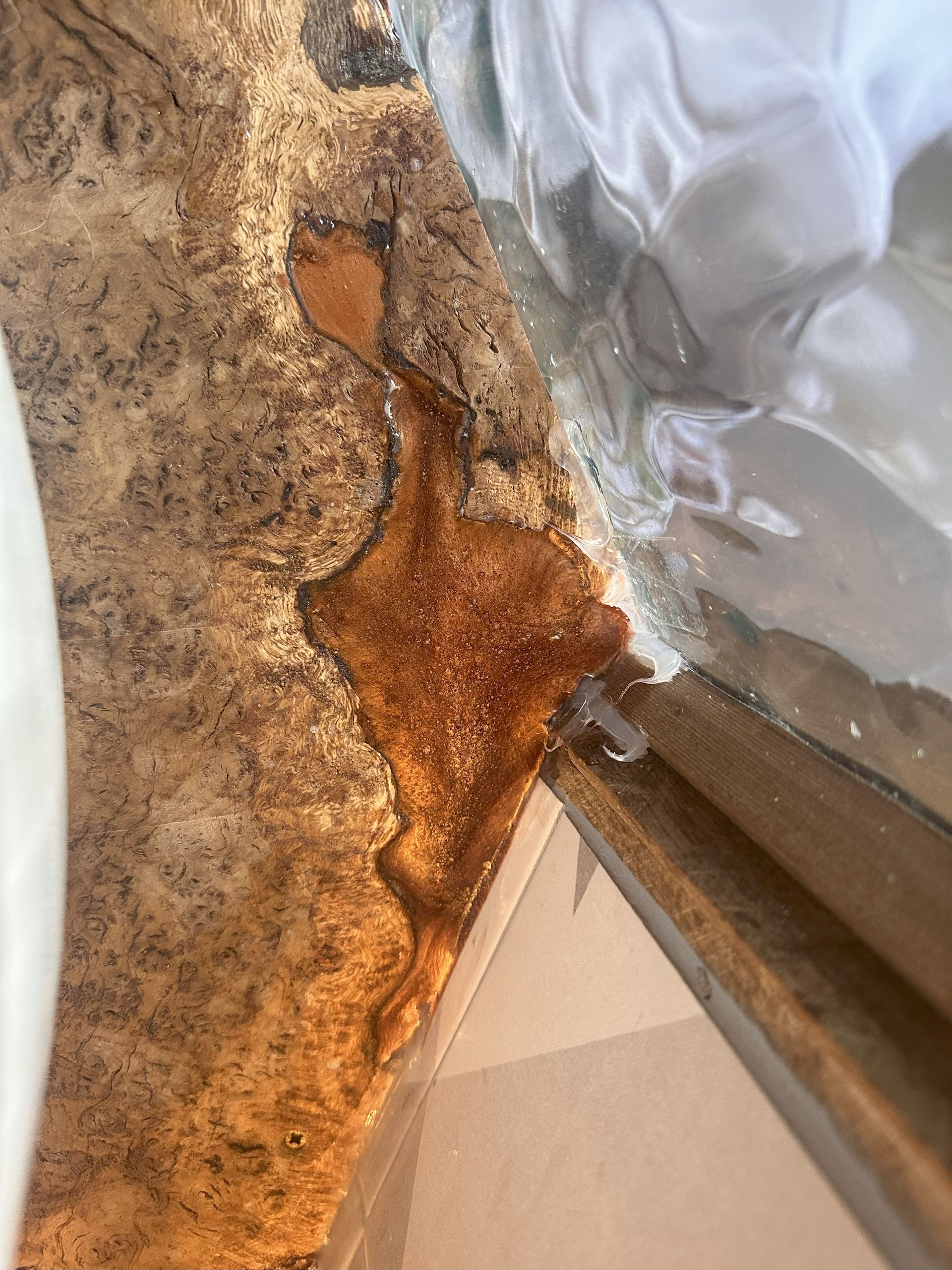 Custom made burr yew shelf