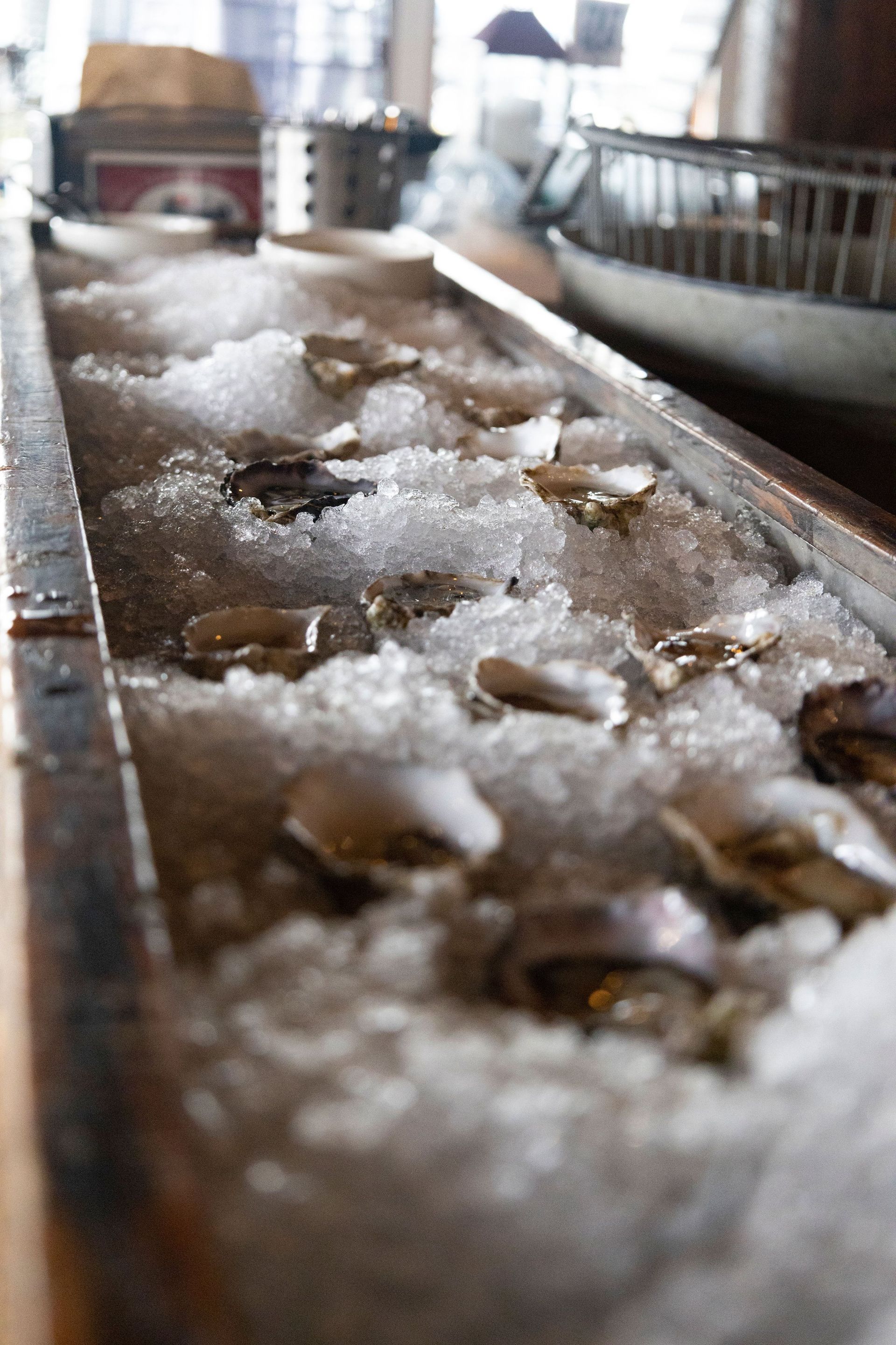 Raw-Oyster-Bar.jpg