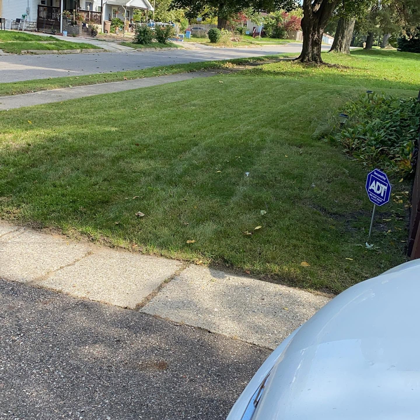 Suburban front lawn beside a driveway, with a blue security sign near a tree and parked car edge.