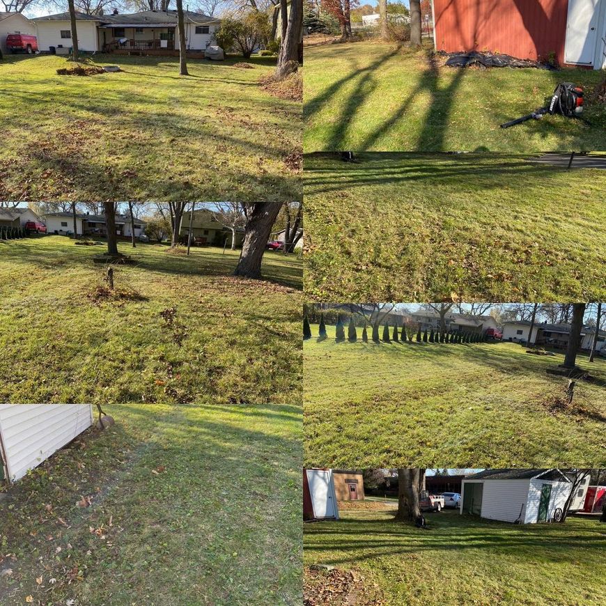 Backyard collage with sloping green lawn, leafless trees, shadows, and a red shed beside a house