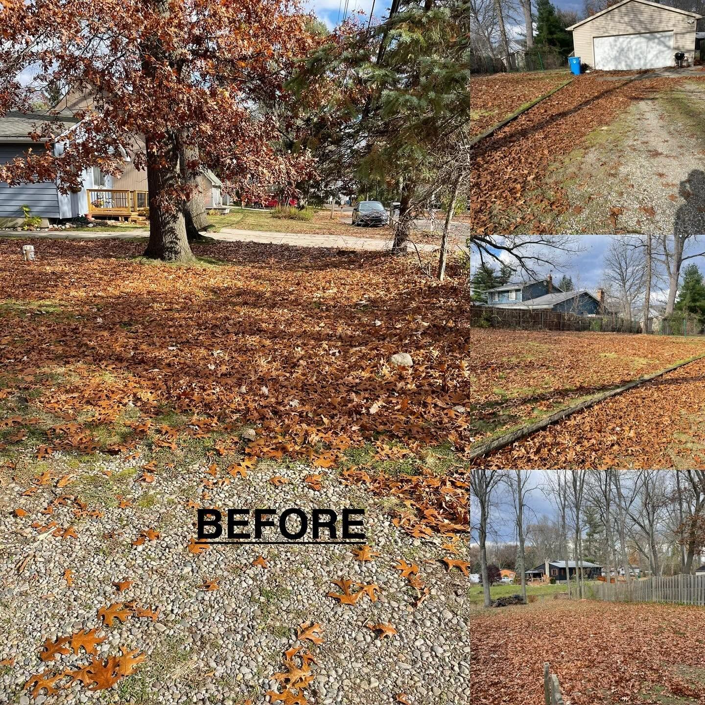 Yard before and after leaf cleanup, with a house, trees, and leaf-covered ground.