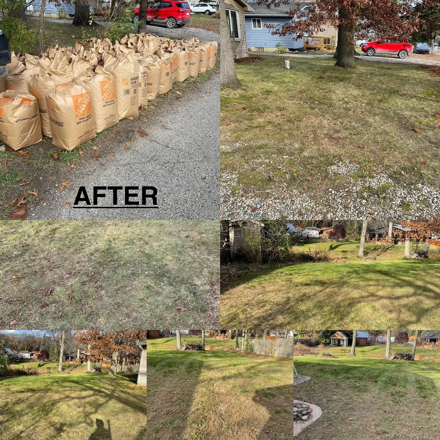 Yard after cleanup, with stacked leaf bags and before-and-after views of cleared grass and trees.
