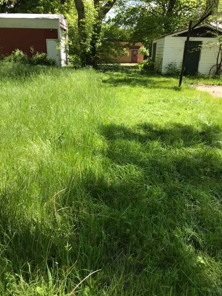 Overgrown grassy yard with a red shed on the left and a white garage on the right under trees