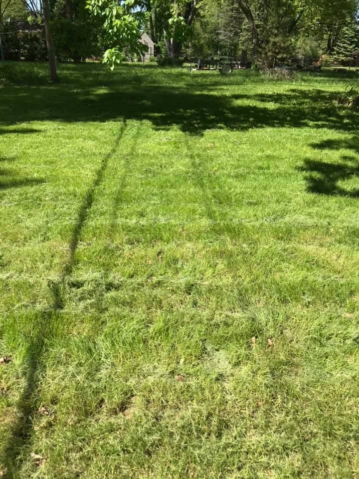 Sunlit grassy field with tree shadows and two tire tracks leading into the distance