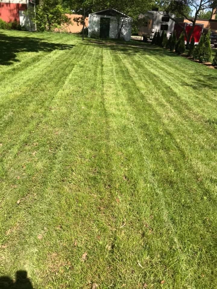 Sunlit backyard lawn with fresh mowing stripes, trees and a small shed in the background