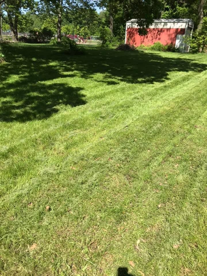 Sunny green lawn with tree shade and a red shed in the background
