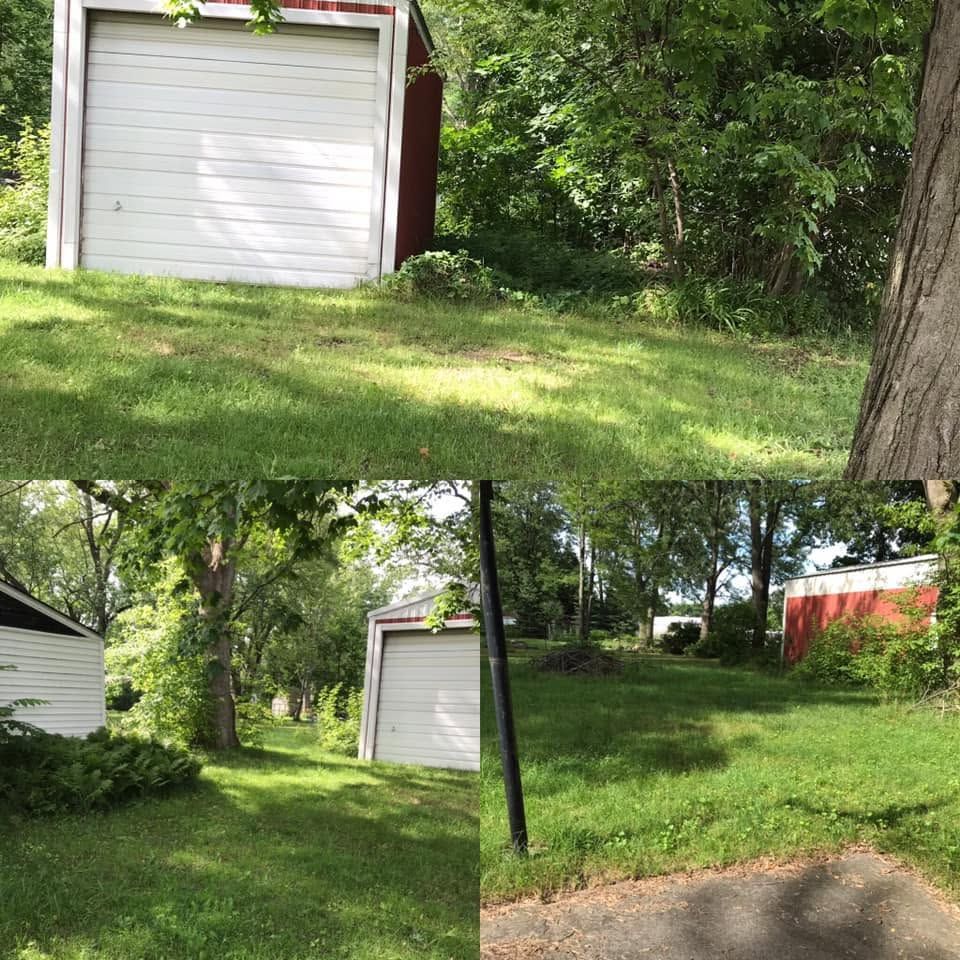 Grassy yard with a white shed, trees, and a driveway in a wooded suburban setting