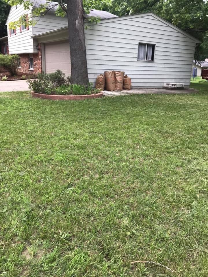 Backyard with a gray shed, large tree, and three brown bags beside a curved brick border.