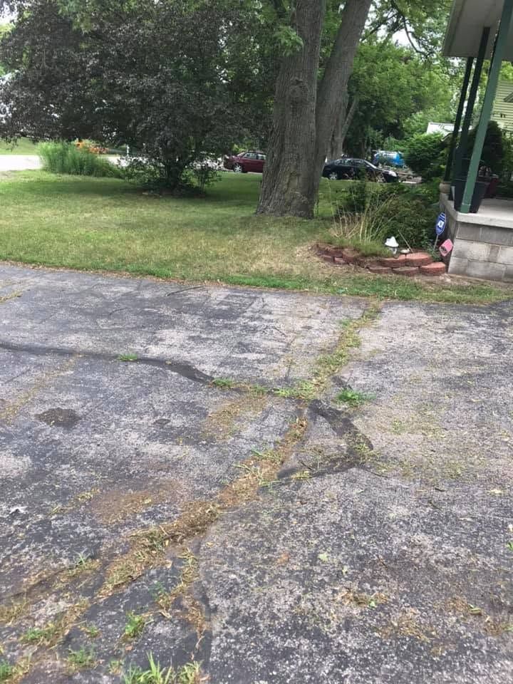 Cracked driveway leading to a grassy yard with large trees and a small seated person near the right edge