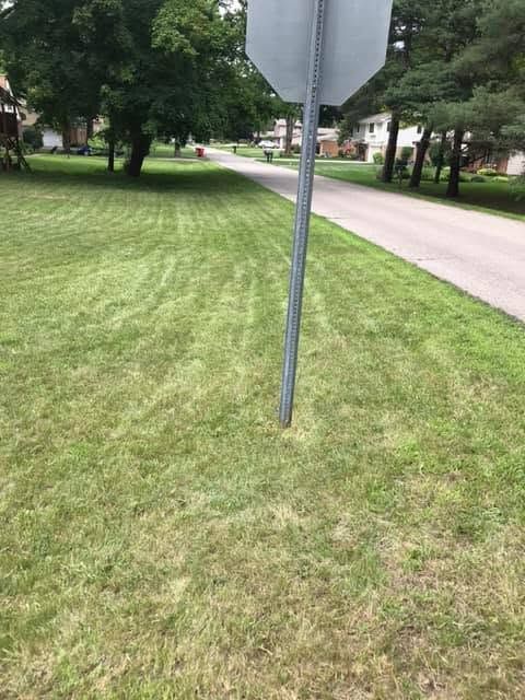 Grassy suburban street corner with a metal signpost and sidewalk