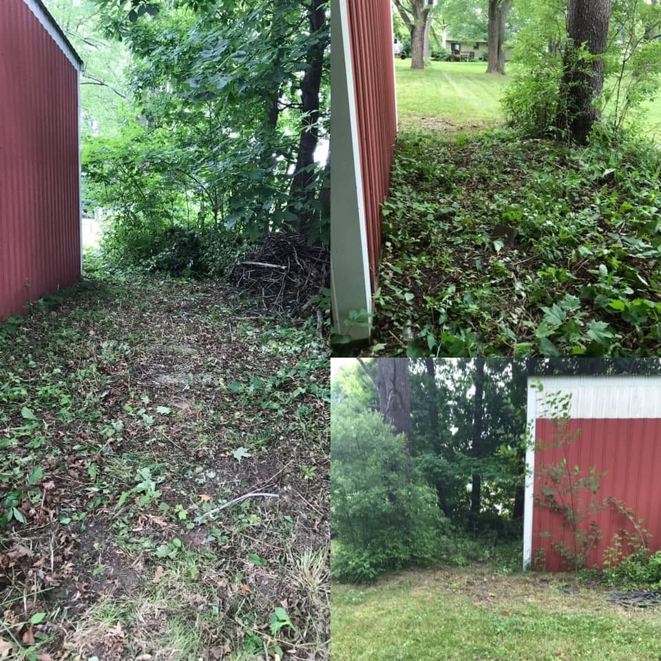 Overgrown grassy path beside red buildings and trees in a wooded area