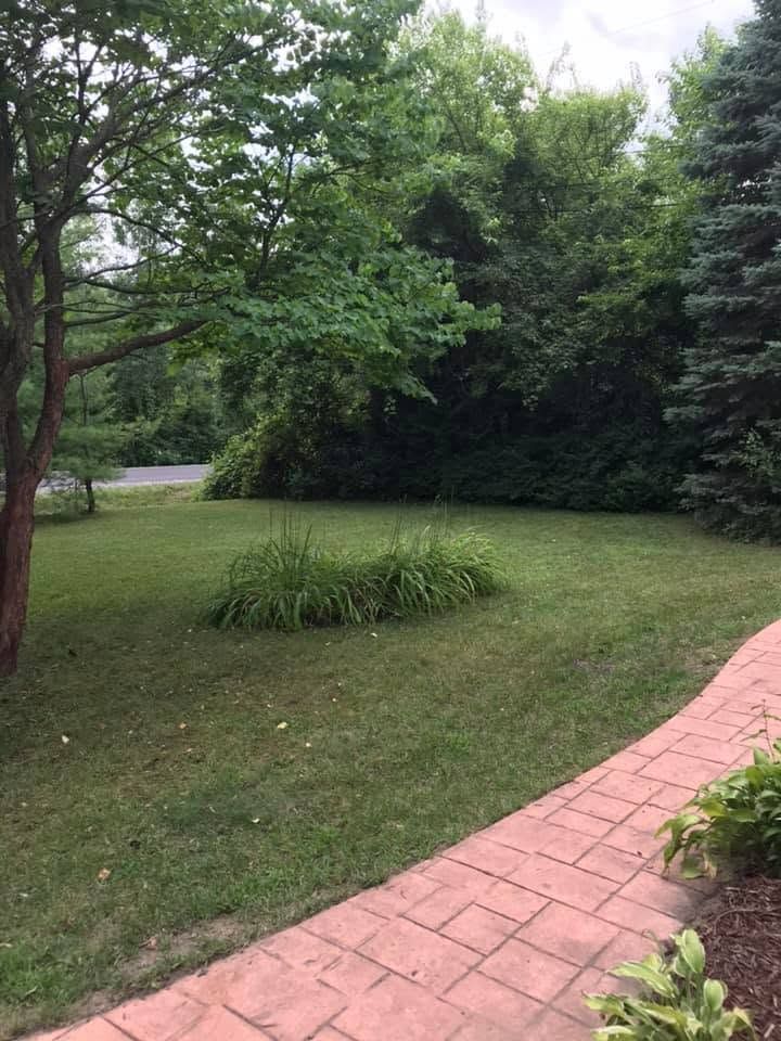 Quiet grassy yard with trees and a curved red brick walkway near a road