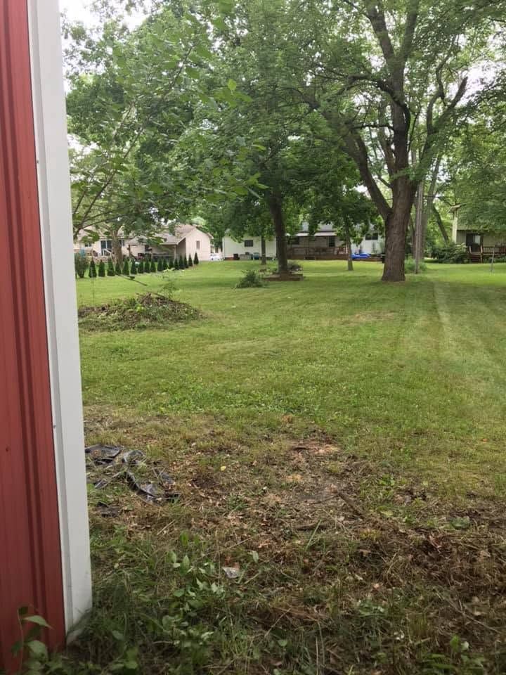 Grassy backyard with large trees, a red building edge on the left, and houses in the distance.
