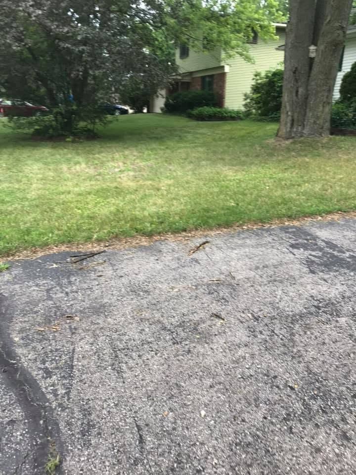Grassy yard beside a cracked asphalt driveway, with trees and a house in the background.