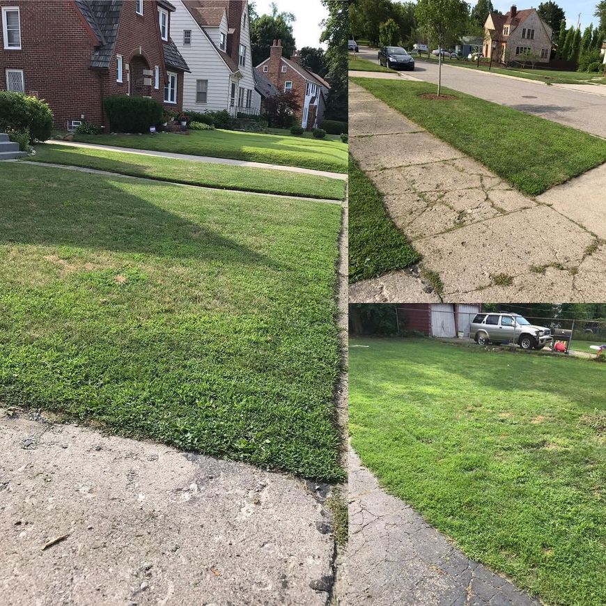 Damaged cracked sidewalk beside green lawns and brick houses in a neighborhood street.