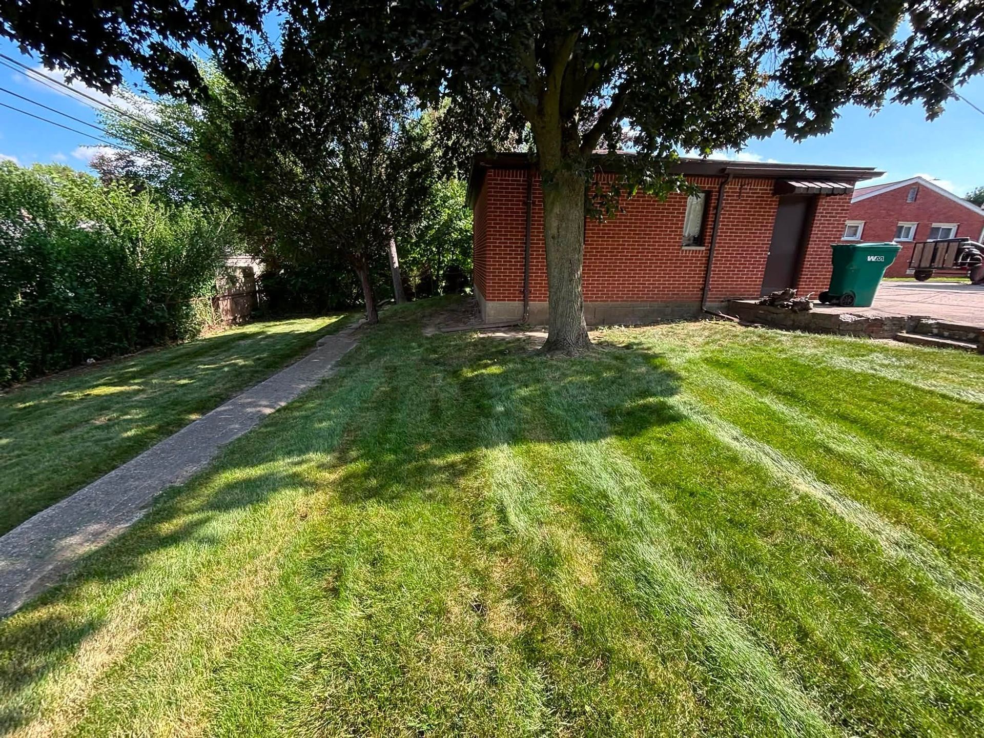 Sunny backyard with a large tree, green lawn, concrete path, and a red brick shed.