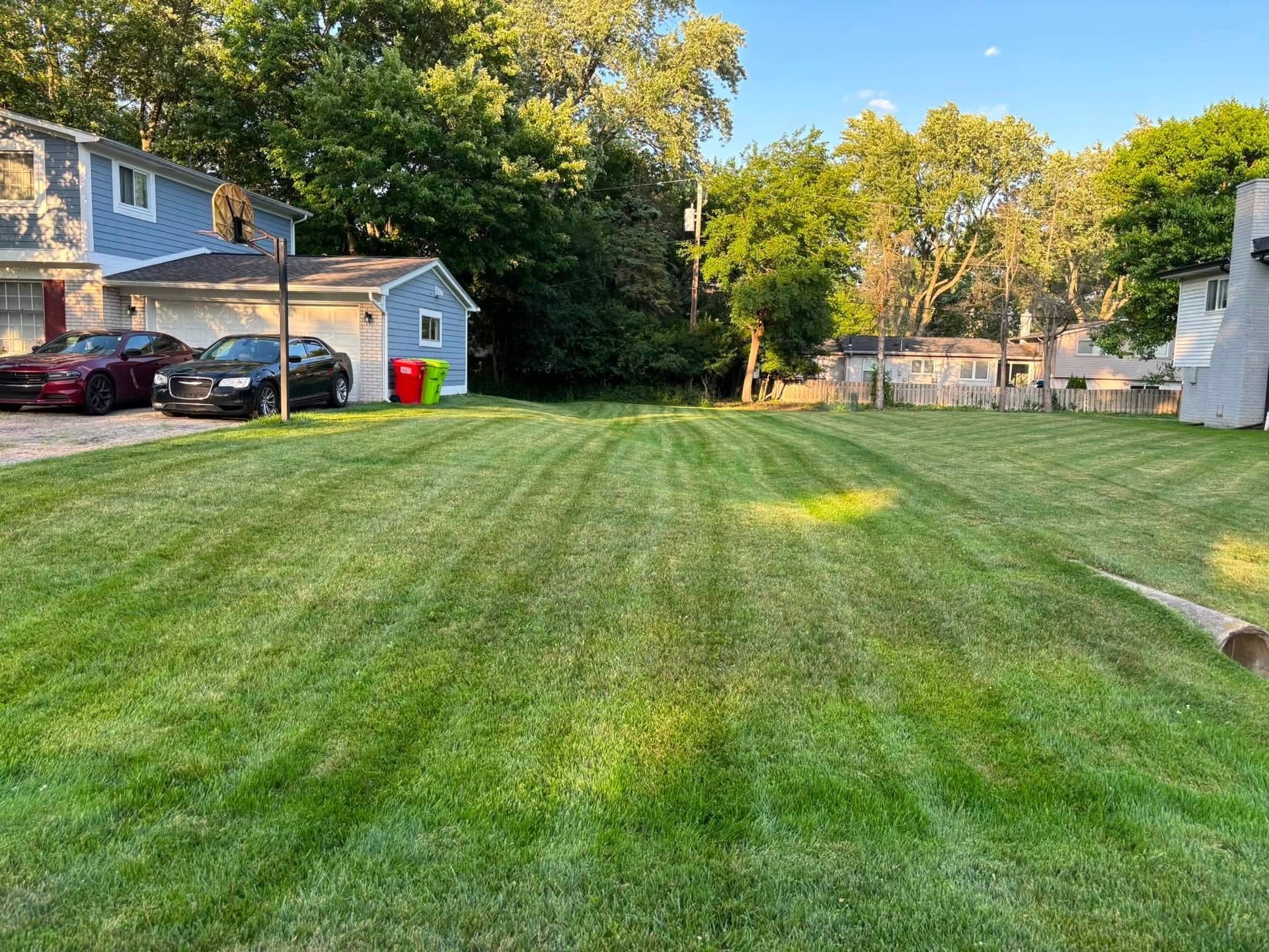 Grassy neighborhood lot beside houses and trees in warm evening light