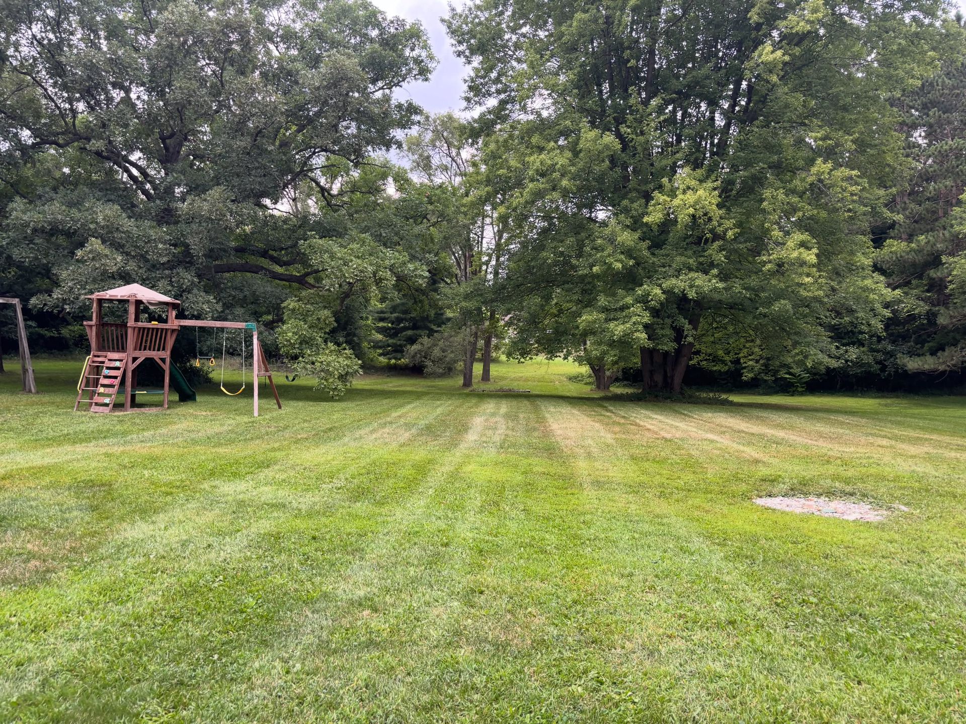 Grassy park with a wooden playground set on the left, surrounded by trees and open lawn.