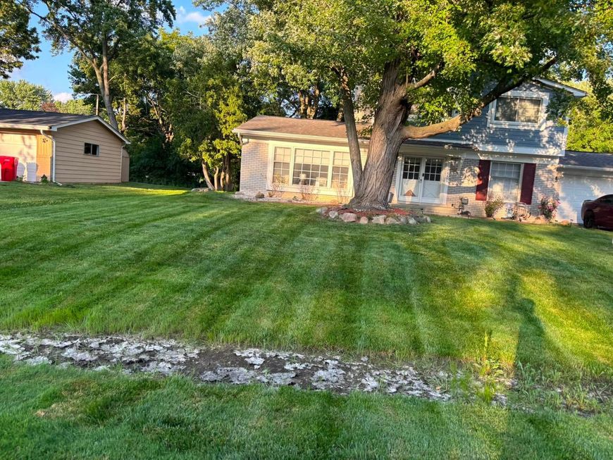 Suburban house with a large green lawn, a big tree, and a small shed in the yard.