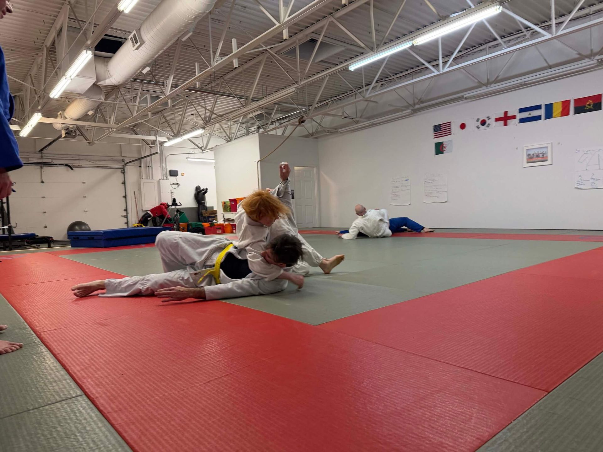 Two people grappling on red and gray mats in a martial arts gym with flags on the wall at Carmel Judo Indianapolis, IN