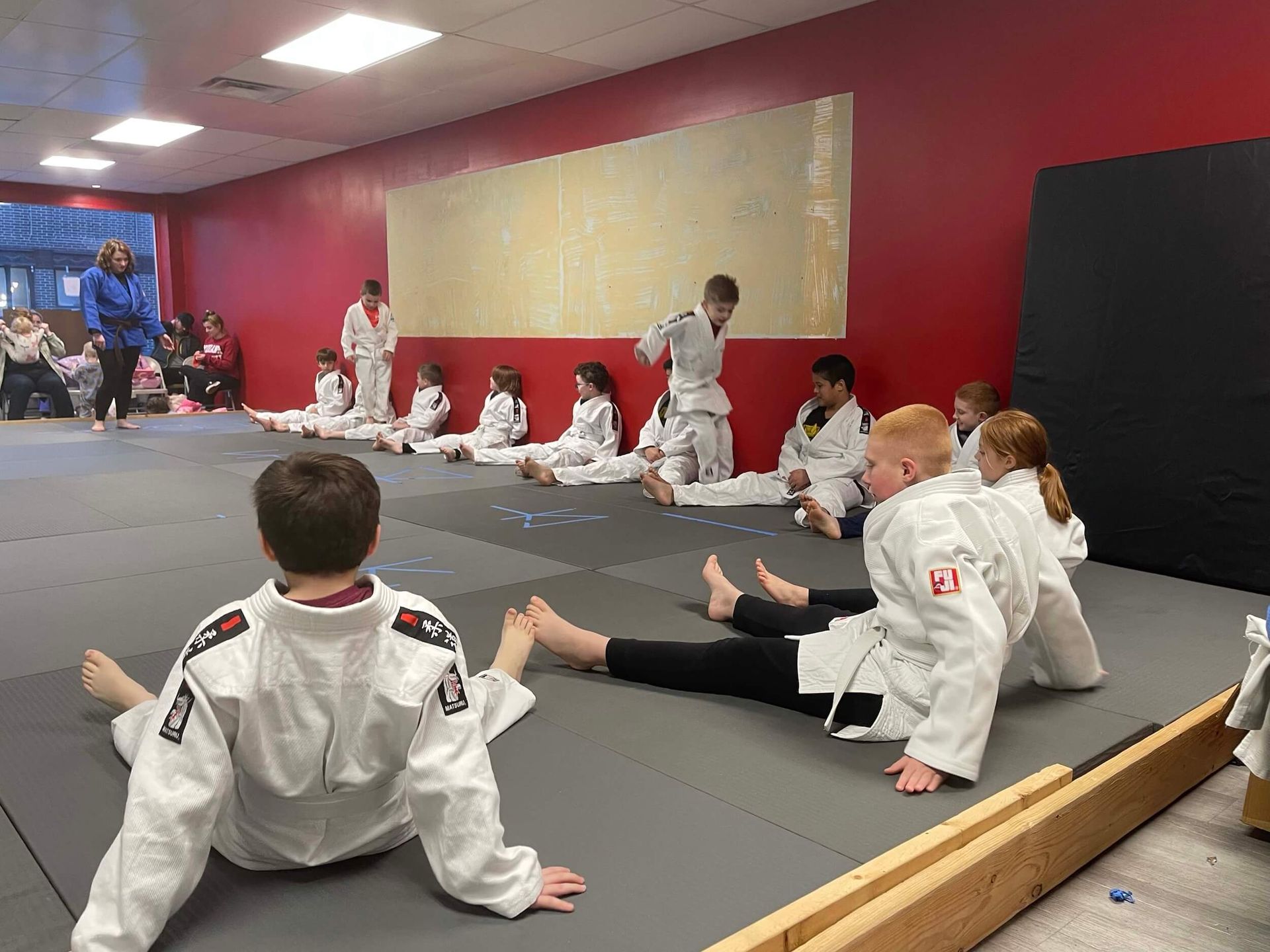 Wolf Cubs: Judo