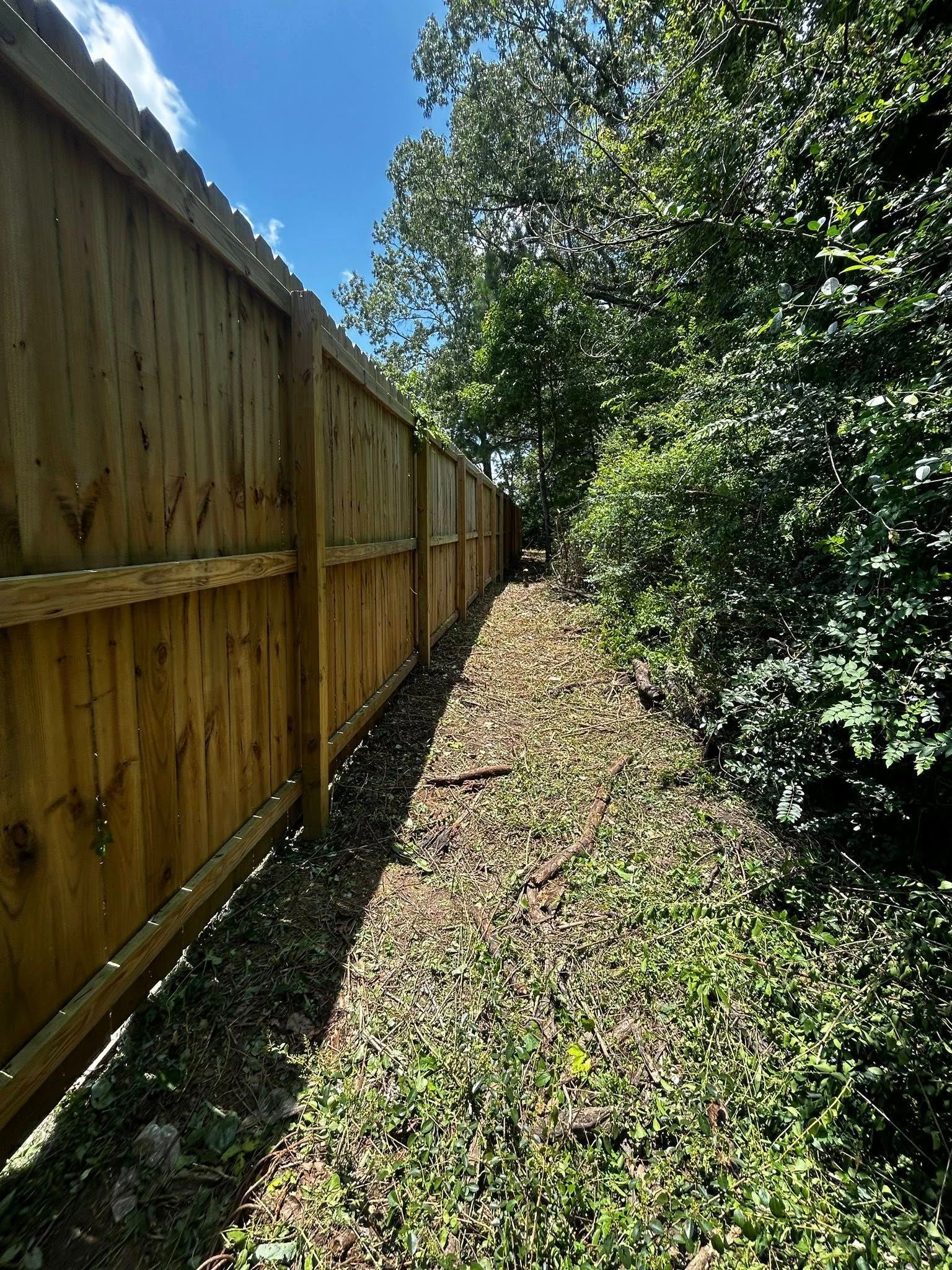 Wooden fence alongside a narrow, overgrown pathway with sunlight filtering through trees.