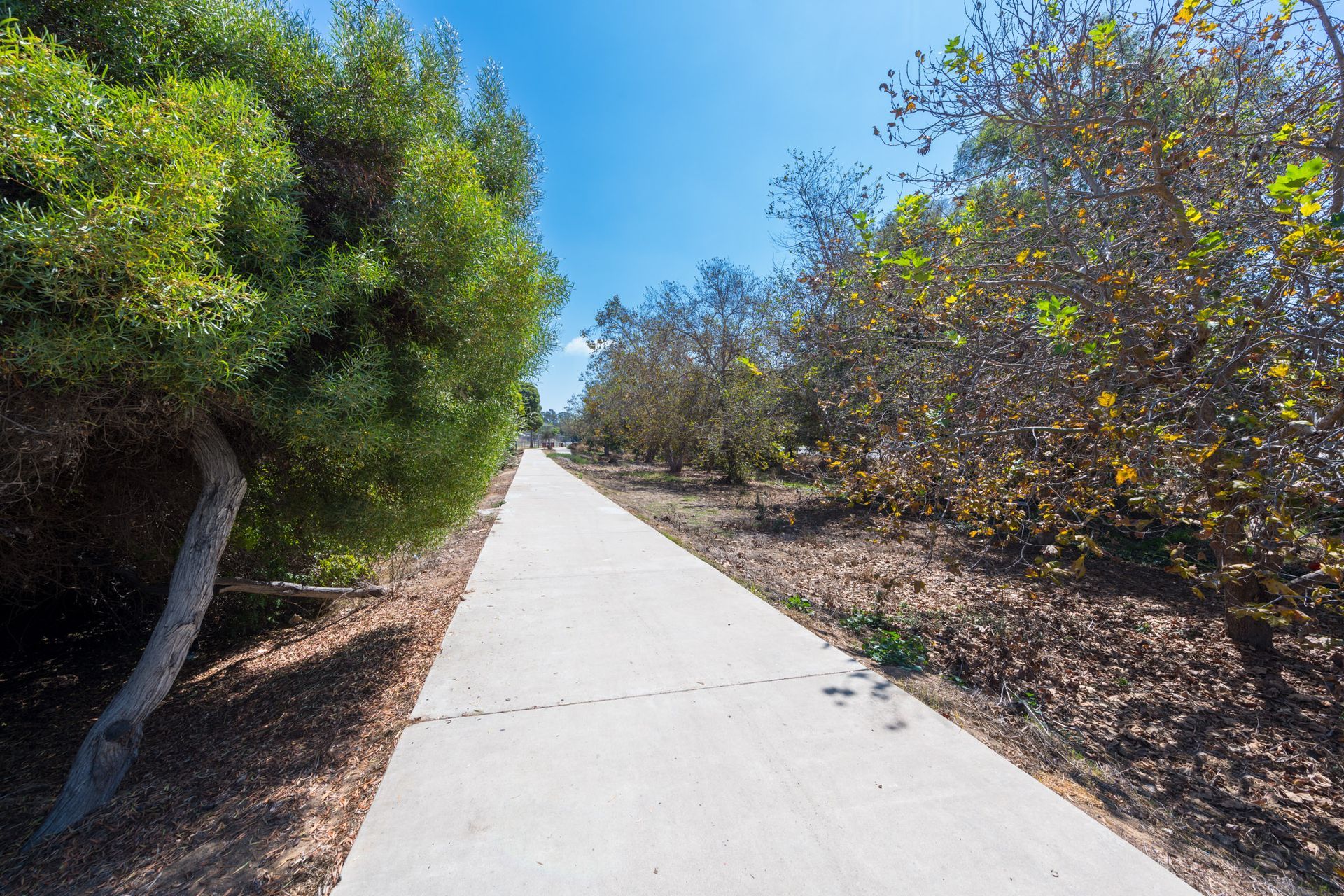 sidewalk