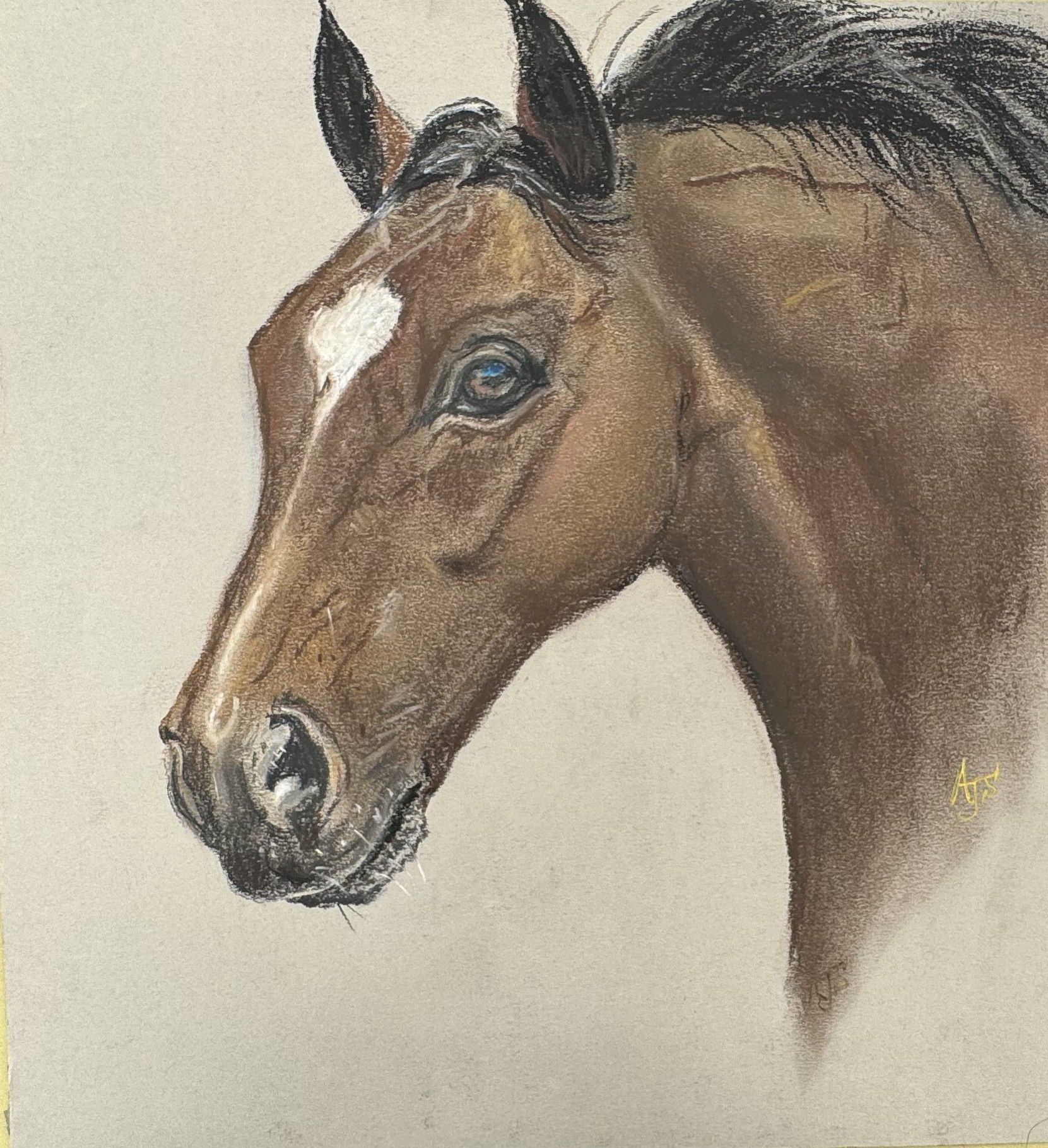 Portrait of a brown horse’s head on a light background by Amanda Sivewright