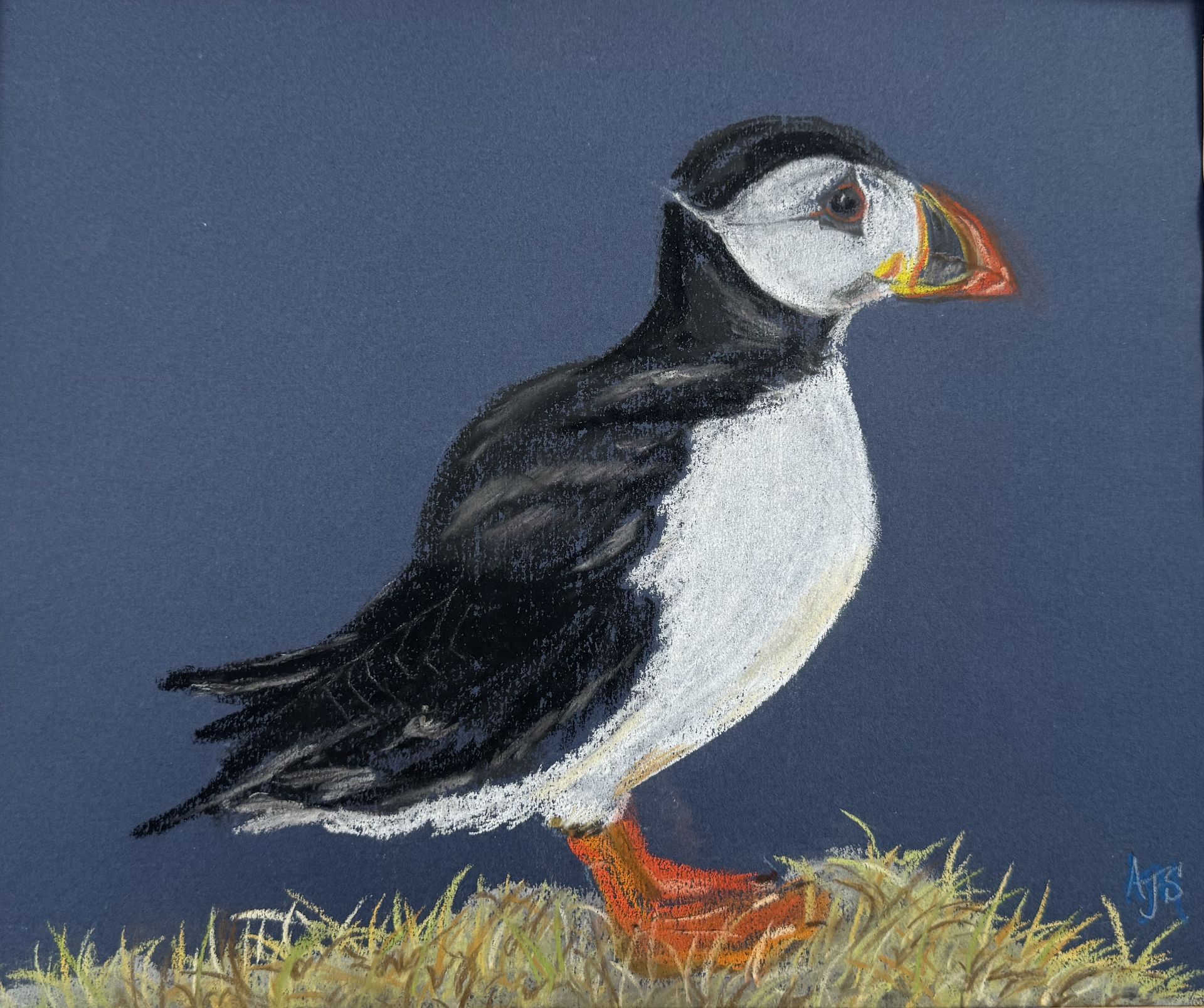 Puffin standing on grass, black-and-white body, orange beak, and feet against a blue background by Amanda Sivewright