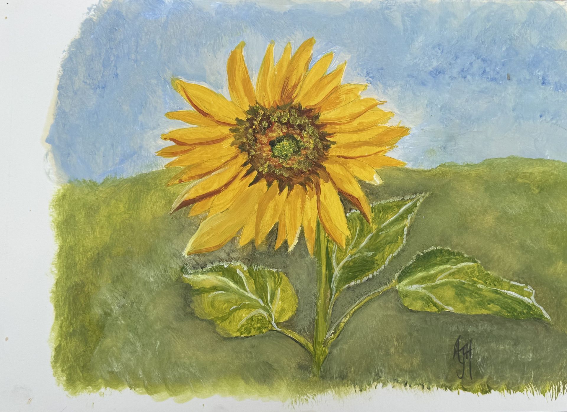 Sunflower with yellow petals and green leaves against a soft blue and green background by Amanda Sivewright