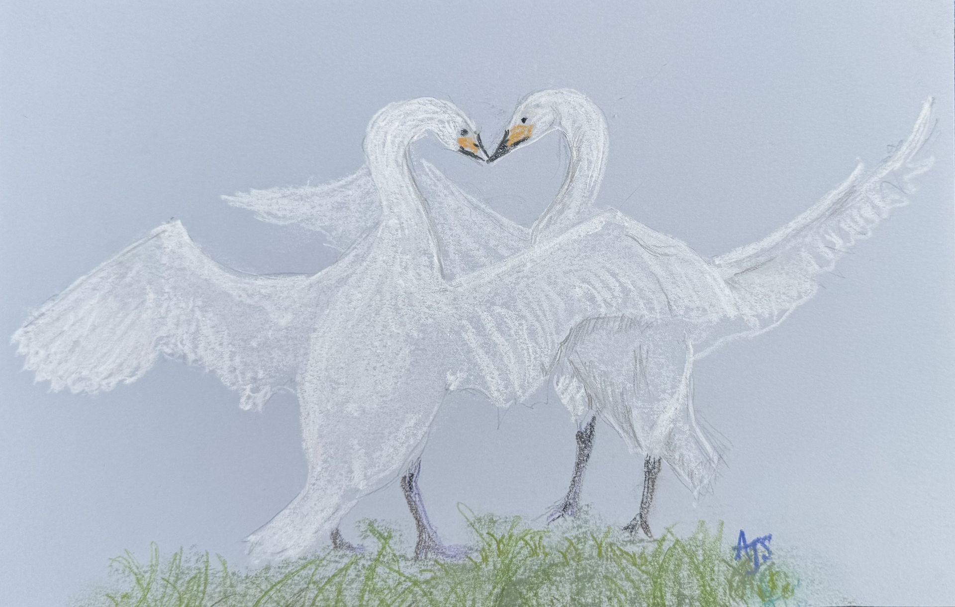 Two white swans forming a heart shape with their necks in a misty field of grass and flowers by Amanda Sivewright